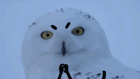 最近种草的口红颜色,2019年最后的种草时尚口红必buy榜