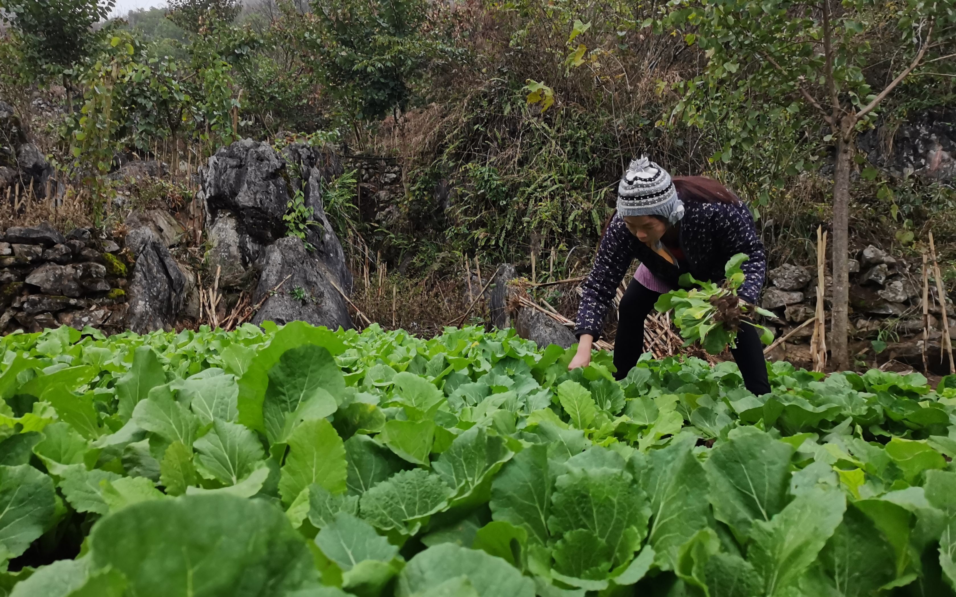 五代穴居人，一场遗世梦