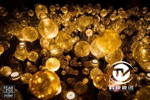 eos下一代全画幅,eos全画幅单反推荐