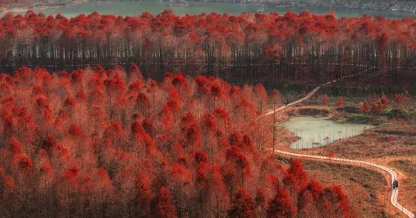 涓存捣5a鏅尯鍗冨勾鍙ゅ煄,澶х編涓存捣婕鍗冨勾鍙ゅ煄