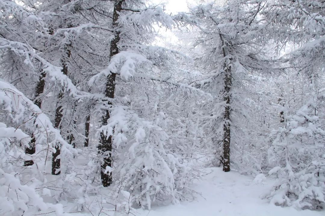 冬游草原天路,草原天路冬日自驾游攻略