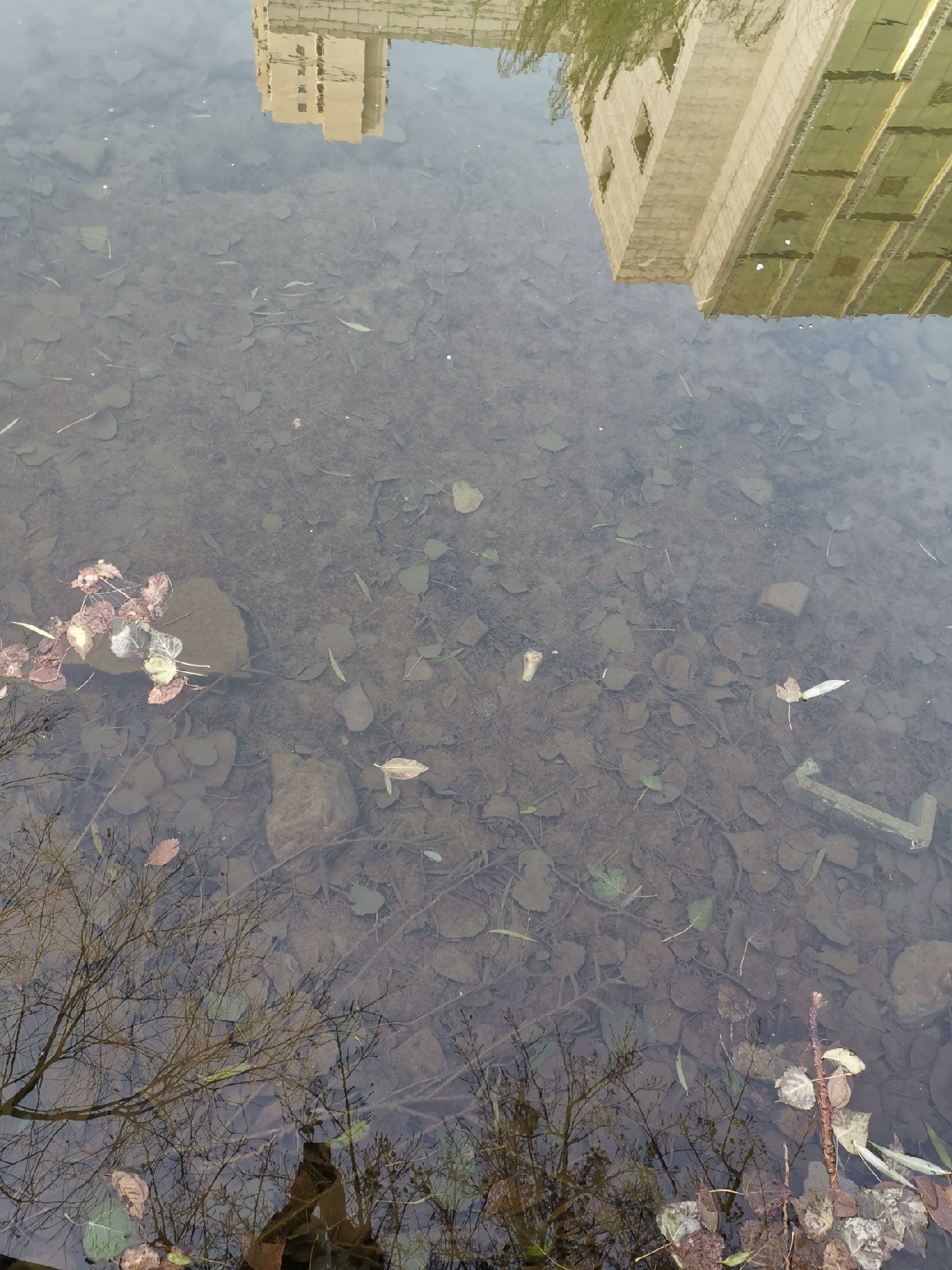 钓鱼十大注意事项,钓鱼需要注意的21要点