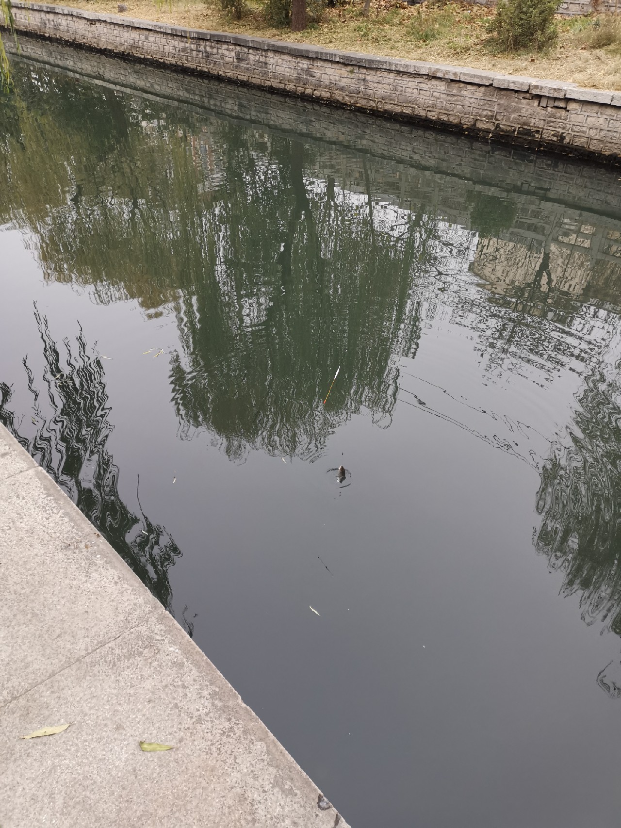 钓鱼十大注意事项,钓鱼需要注意的21要点