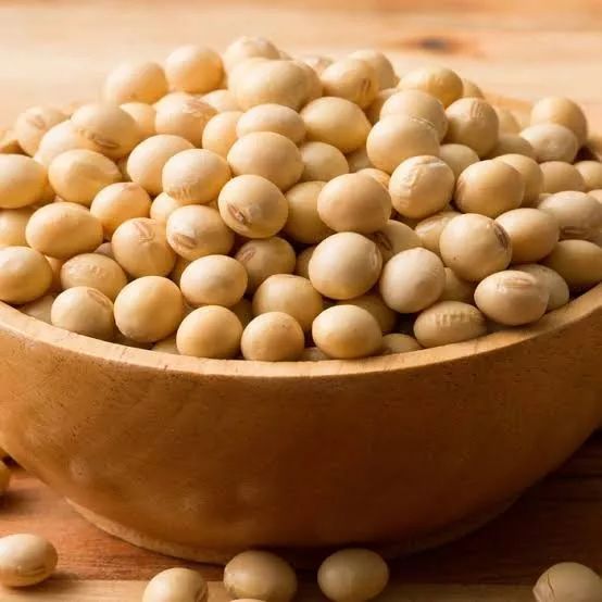 为啥不建议用湿巾,为什么不建议用湿巾