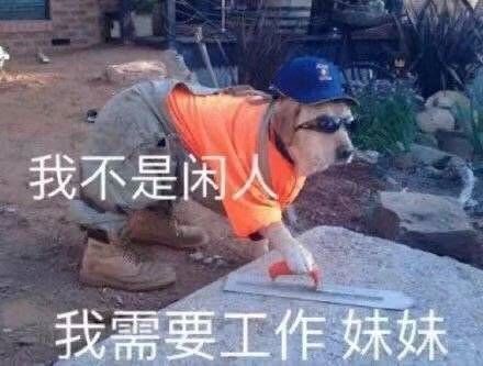 郑州奥利给现状 (郑州奥利给最新消息)