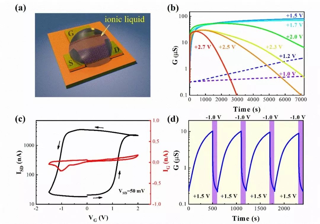用氧化物定制人脑之梦