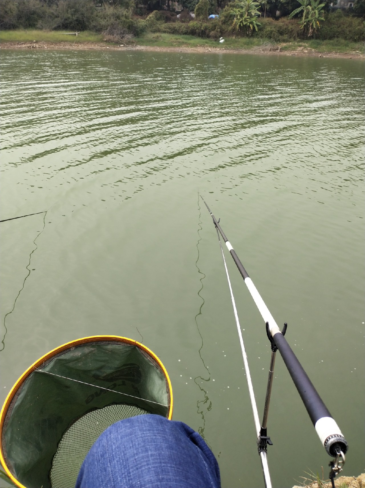 野钓水库位置真的很关键,野钓水库最佳位置图