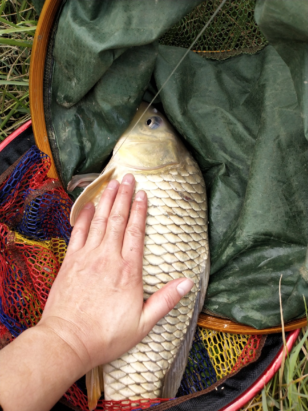 野钓水库位置真的很关键,野钓水库最佳位置图