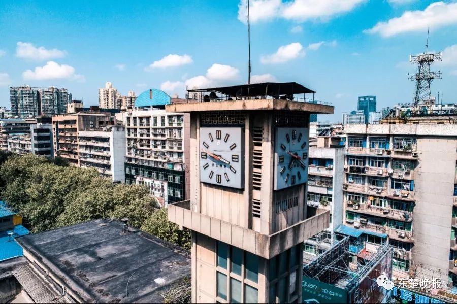 365天，行走3.2万千米，拍摄13万张照片！黄石人到底有多“野”？