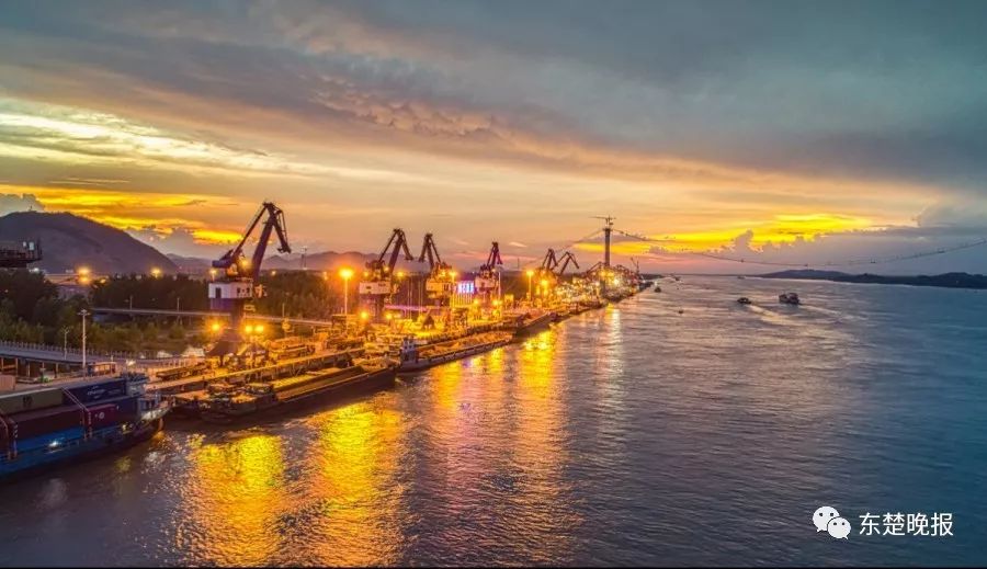 365天，行走3.2万千米，拍摄13万张照片！黄石人到底有多“野”？