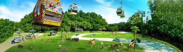 河南最大的动物园在哪里,河南野生动物园规划