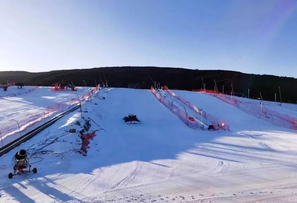 洛阳旅游年票一日游路线规划,洛阳旅游有优惠活动吗