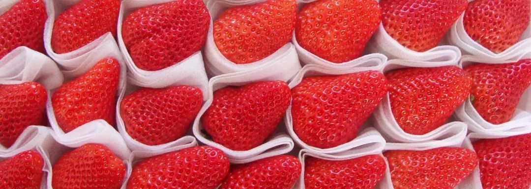 吃过10个算我输!本地人盖戳的年货清单揭秘