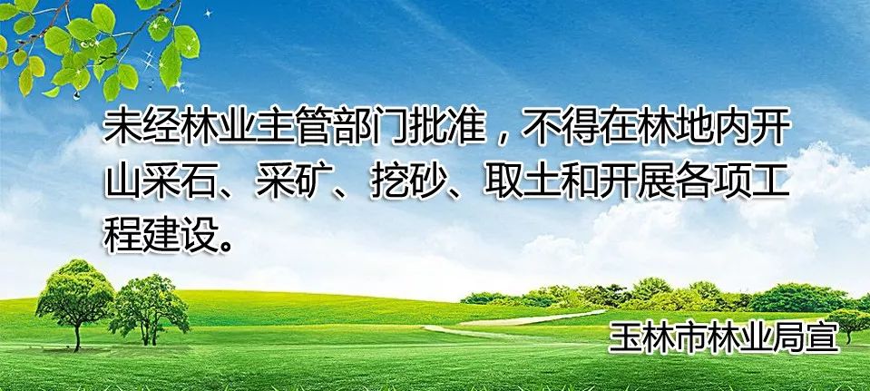 玉林市上档次的幼儿园,广西玉林最好的幼儿园是哪所