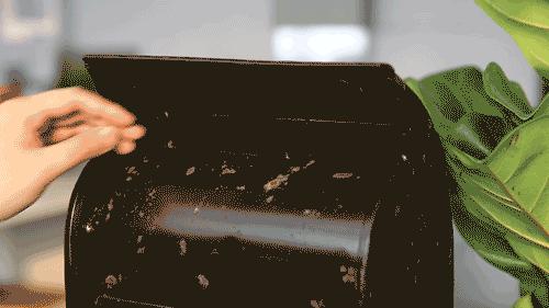 纸短情长的情意,感人肺腑的民国爱情