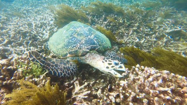 巴厘岛旅游自由行详细攻略,巴厘岛旅行攻略自由行路线图大全