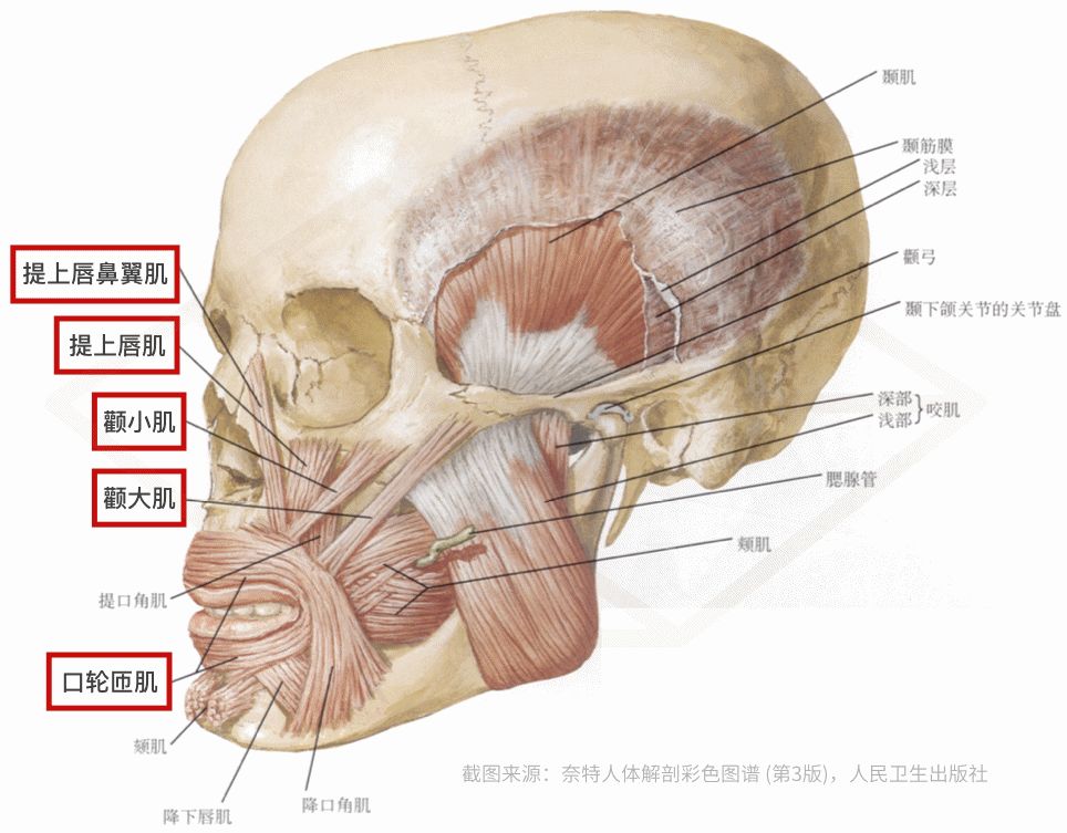 想要更耐老注意这个细节,想要更耐老注意这5个细节