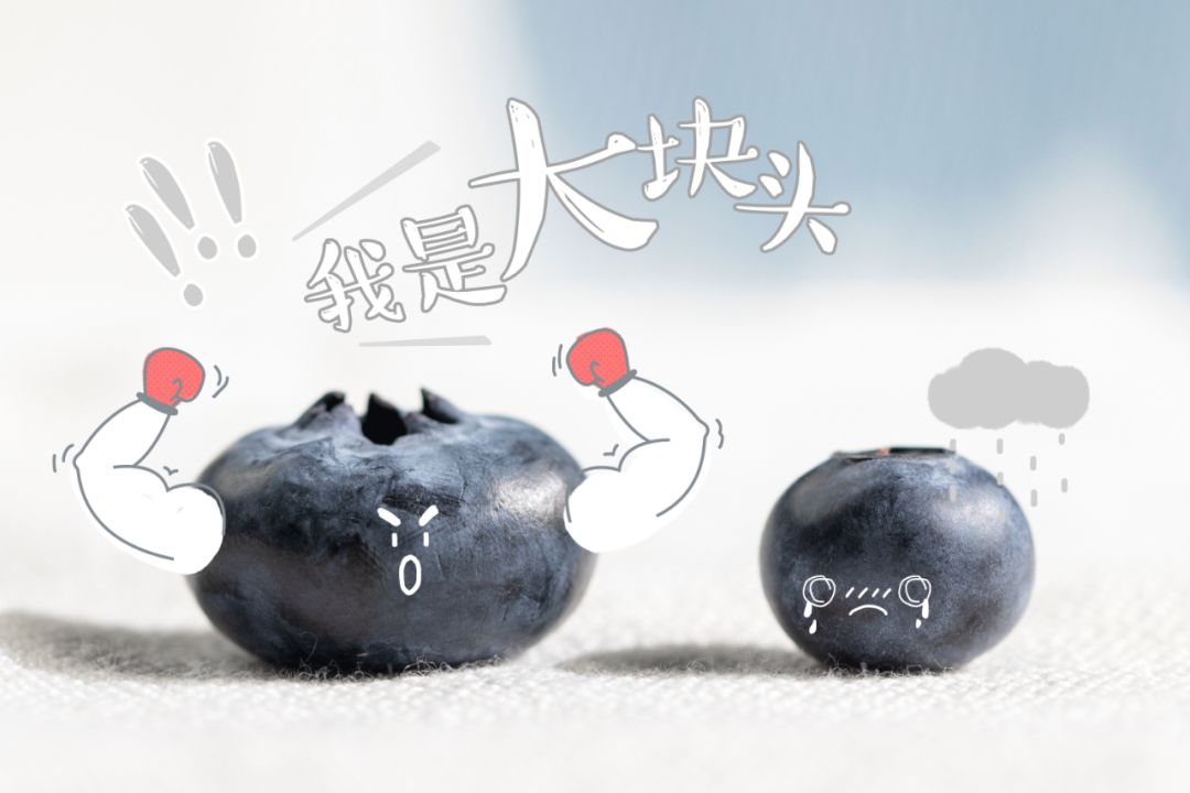 春节的C位水果帮你挑好了，颜美心甜等你来撩