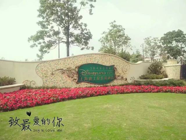 蜜月上海旅游攻略,上海迪士尼游玩美食攻略