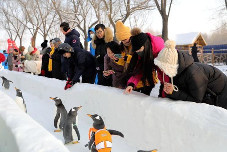 十城主播眼里的冰城是啥样？今天13时直播，入口在这儿↘