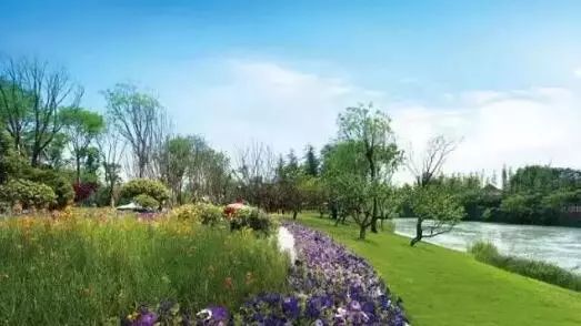 街道书记访谈,街道书记推介党建项目