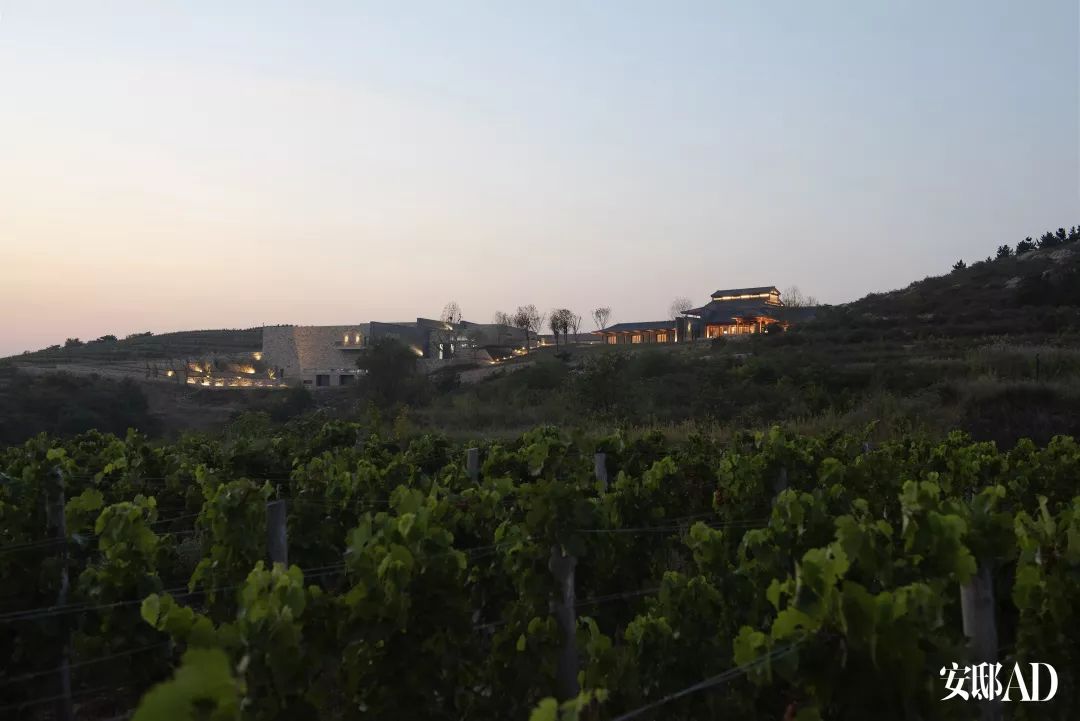 拉菲中国蓬莱酒庄,拉菲中国酒庄叫什么