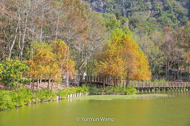 王鋆鋆「台湾乡村游」小众休闲秘境乐悠游