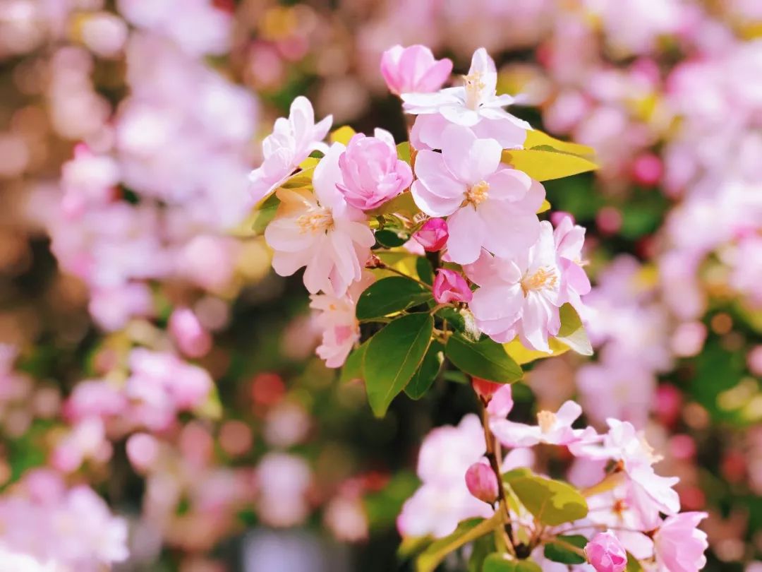 北京出发高铁3小时内旅游攻略,北京高铁2小时到达旅游攻略