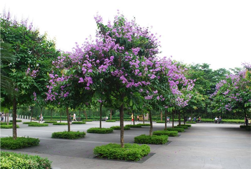 广州海珠区免费公园推荐,海珠区最近的公园