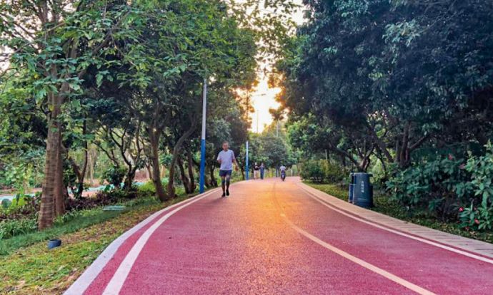 深圳市最新步道,深圳十佳绿道