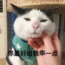 从被质疑没存在感到女团单飞，如今靠最火台剧再次爆红？