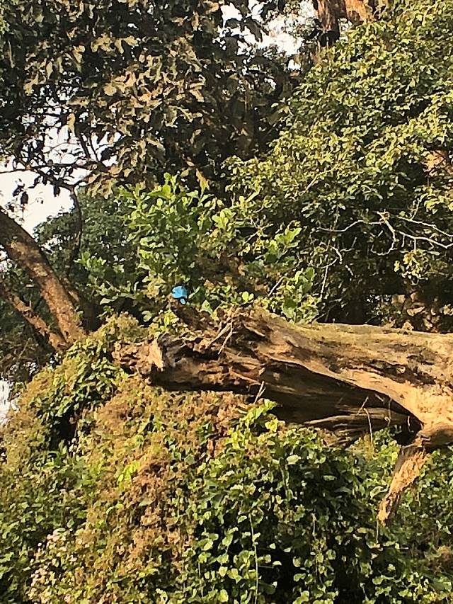 南亚国家旅行,南亚环球旅行