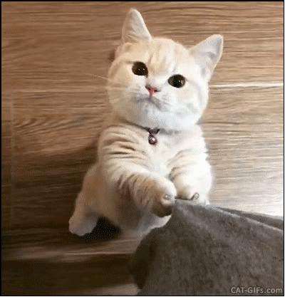 内置击锤的绍尔38H手枪，为何二战后销声匿迹？