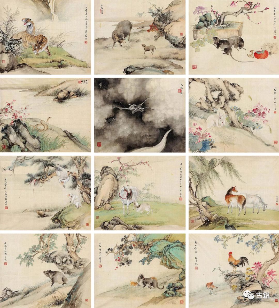 鼠年春晚说鼠,央视科普鼠年说鼠