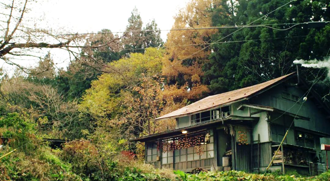 宅在家里挖掘我无限的潜能,适合宅在家看的电影风景片