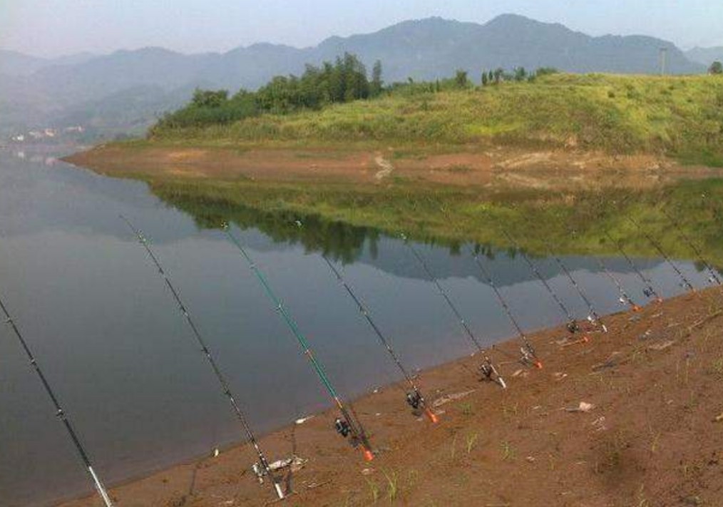 冬季抛竿钓鱼技巧选钓位和时间,抛竿野钓鲫鱼技巧