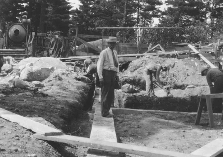 这个鼠年太难过了！再难，也不能没有鼠