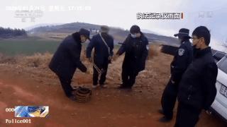 蛇胆进补,生吃蛇胆身体长虫子