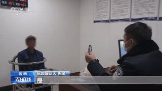 蛇胆进补,生吃蛇胆身体长虫子