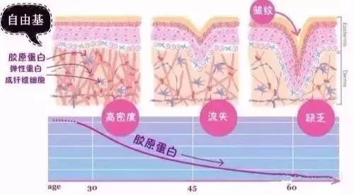 21天深度测评报告3.0升级版|2020年第二期