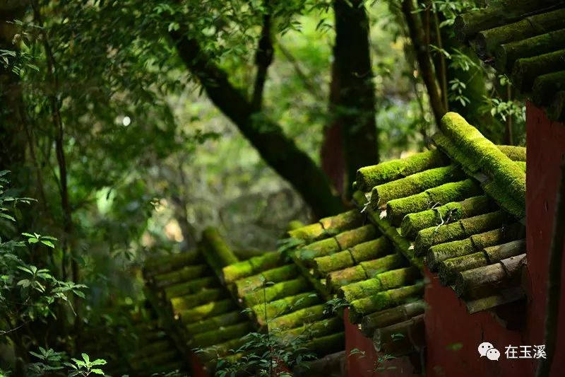 秀山公园门票优惠政策,秀山风景区门票免费吗