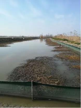 非常时期、特殊措施！给养蟹的朋友提个醒