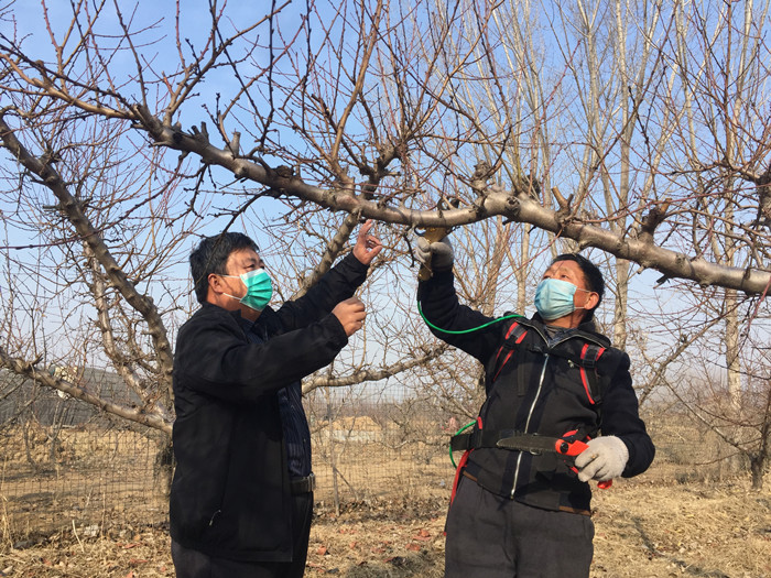 防疫产销两不误蔬菜大棚春意浓,防疫春耕两不误温室大棚春意浓