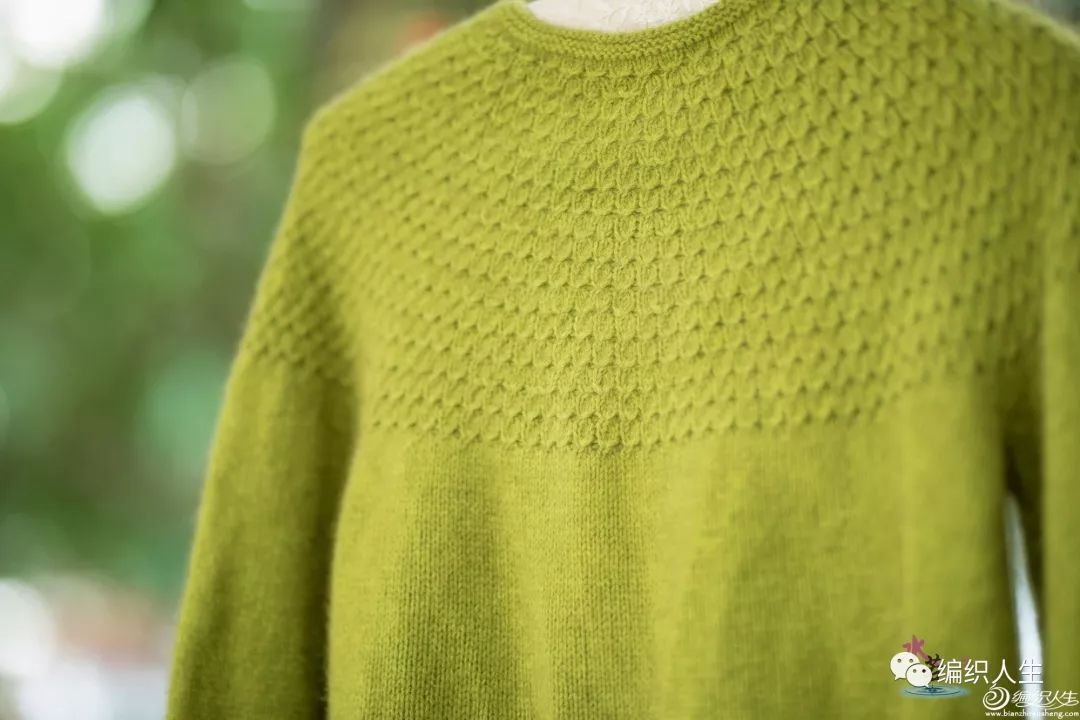 女士松鼠绒开衫棒针毛衣编织视频,松鼠绒织开衫毛衣成人编织全教程