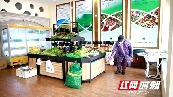 新田县电商公司,县域电商助力疫情防控