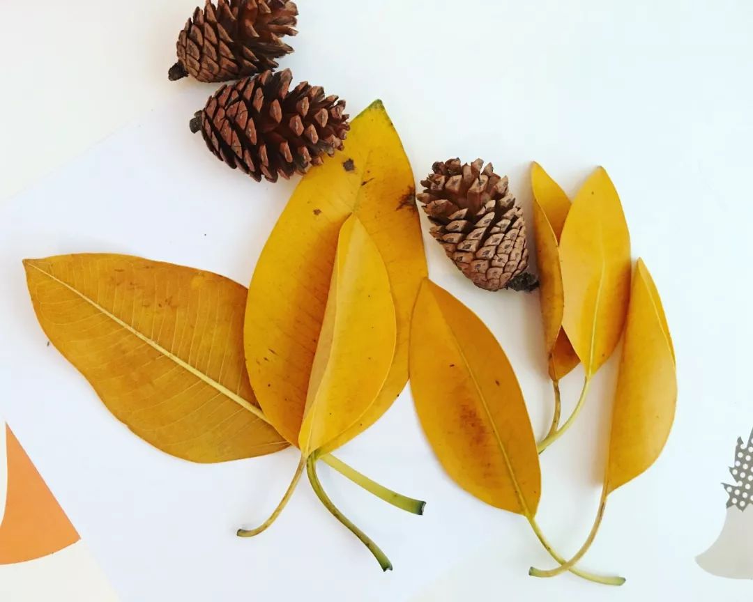 不用花钱就能玩的儿童游戏,十个小朋友玩游戏