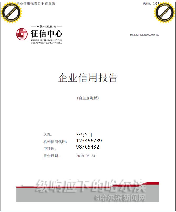 企业信用报告线上能查询打印吗,企业网上查询个人征信