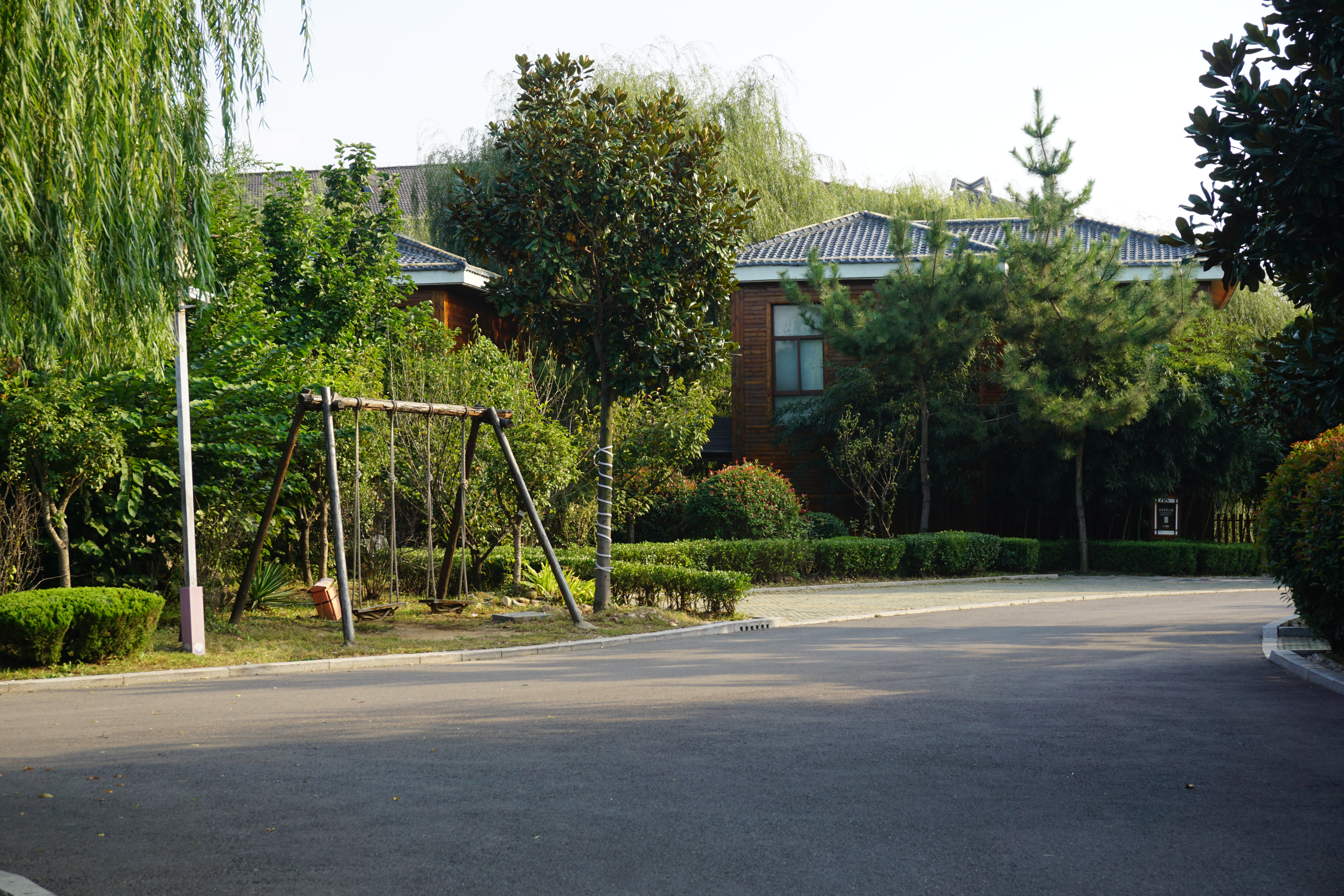 疫情过后一定要去西双版纳,疫情过后一定要来苏州喝奶茶