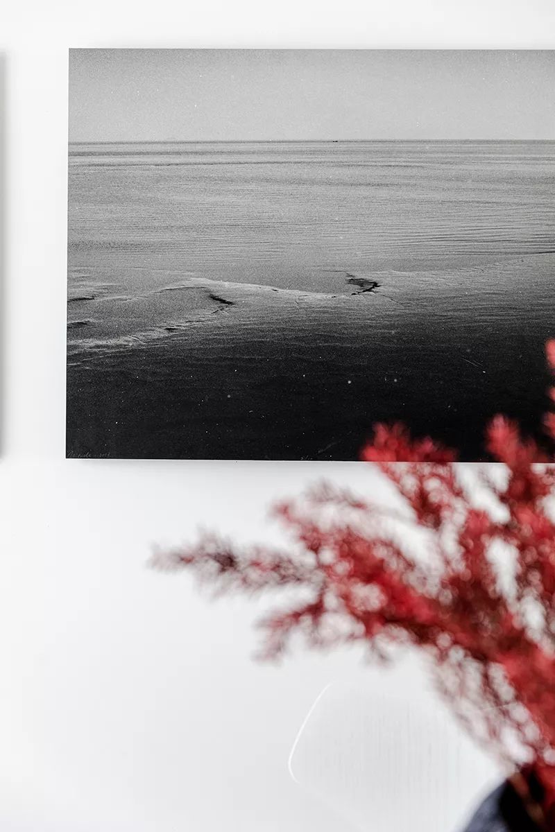 她以“潮汐”为灵感创造了一个家，将看似无形的爱说到尽兴