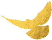 中国航协2019,中国航协委员会